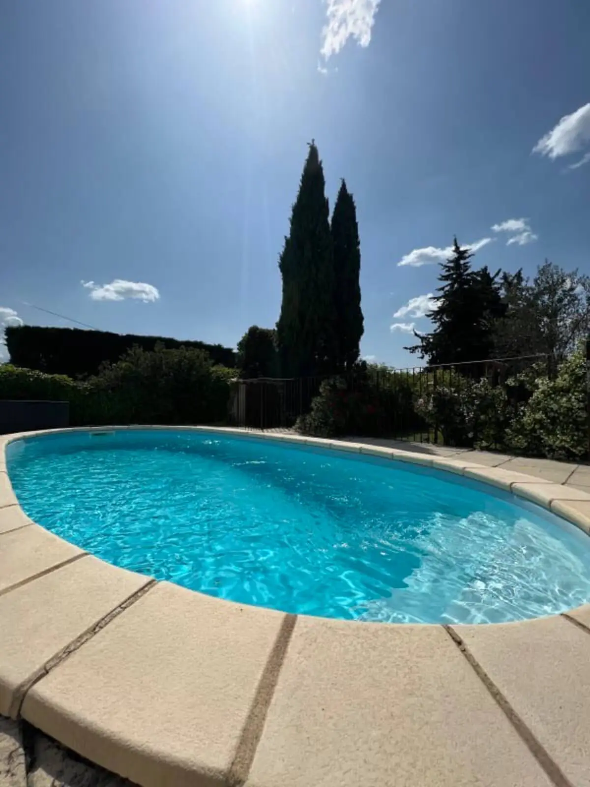Der ovale Pool unter blauem Himmel, gesäumt von Zypressen