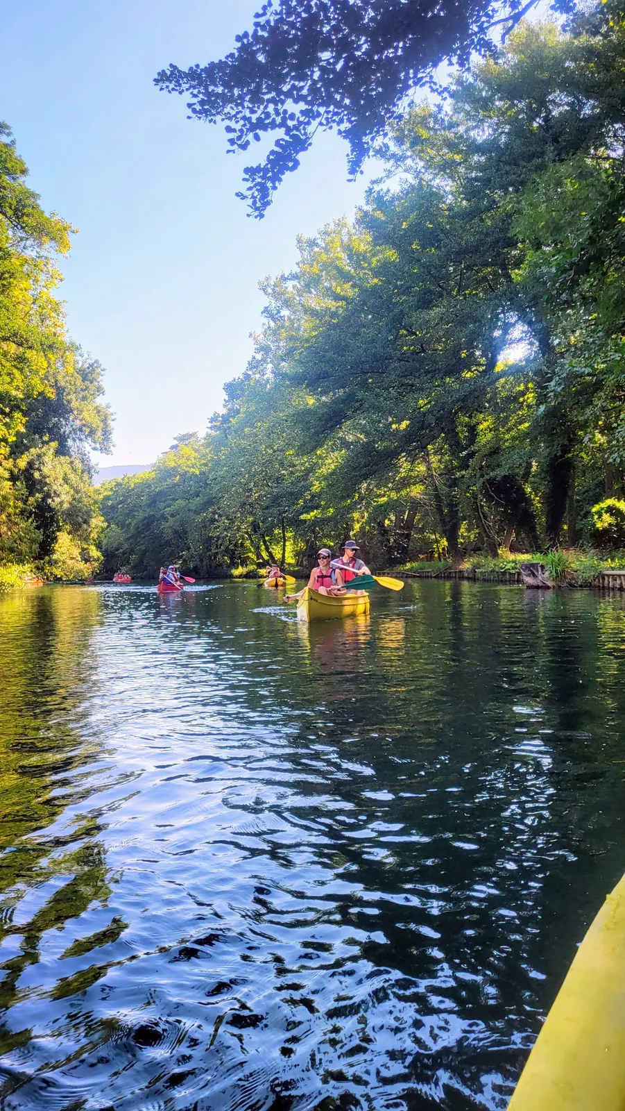 A canoe on the Sorgue, the trees reflected in the water