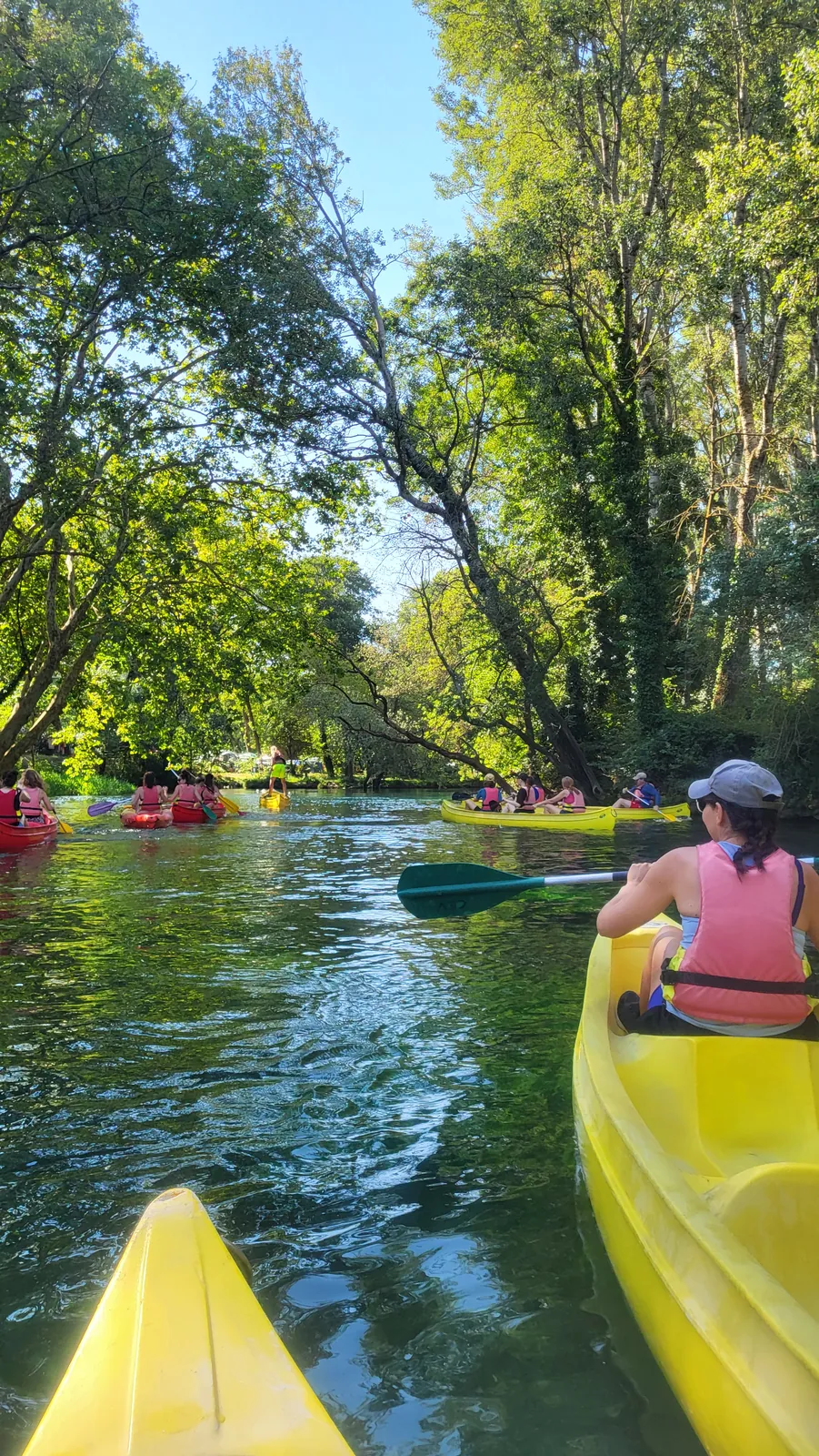 A kayaking trip on the Sorgue beneath tall trees