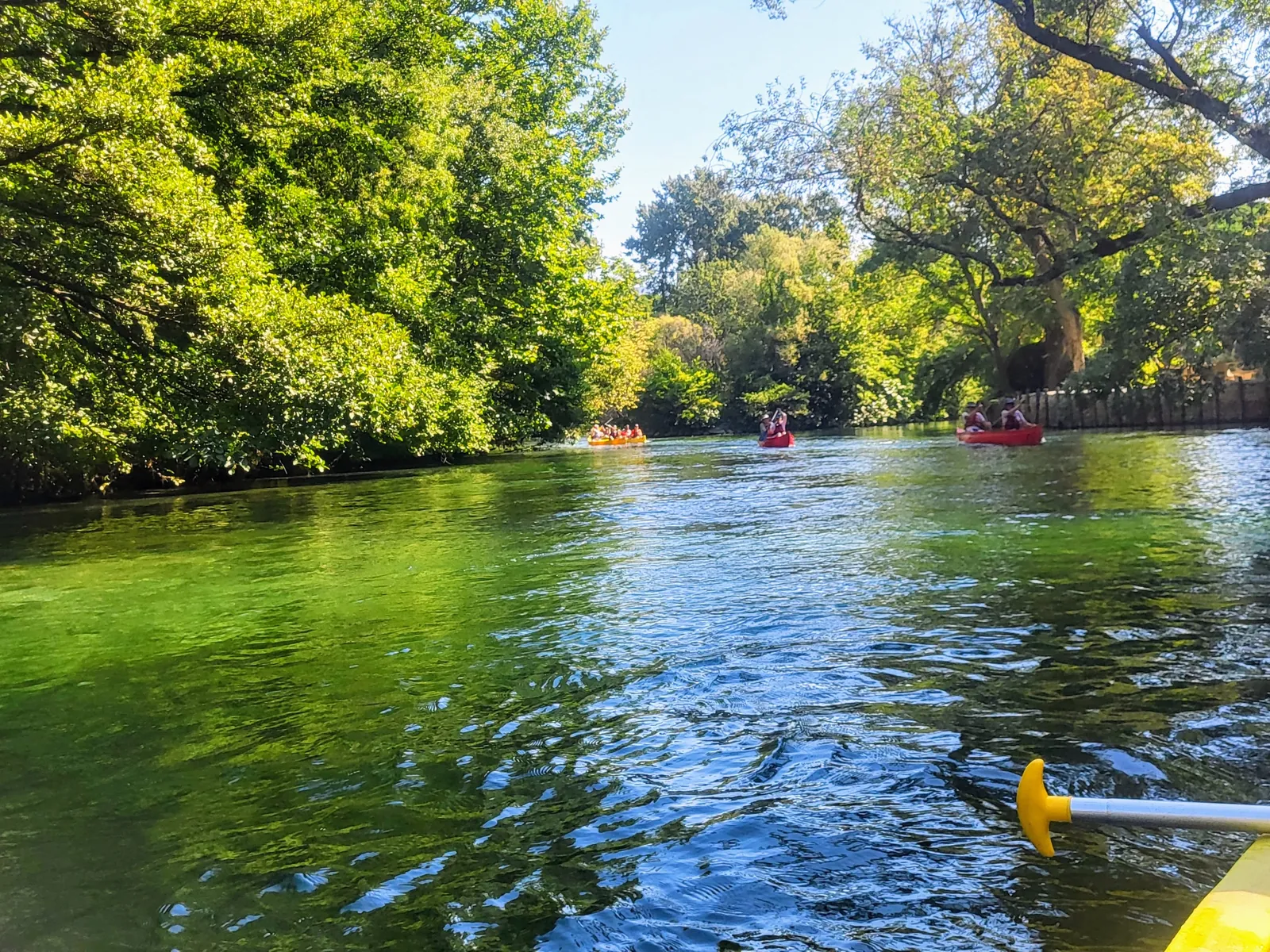 Kayaks paddling down the Sorgue between the trees