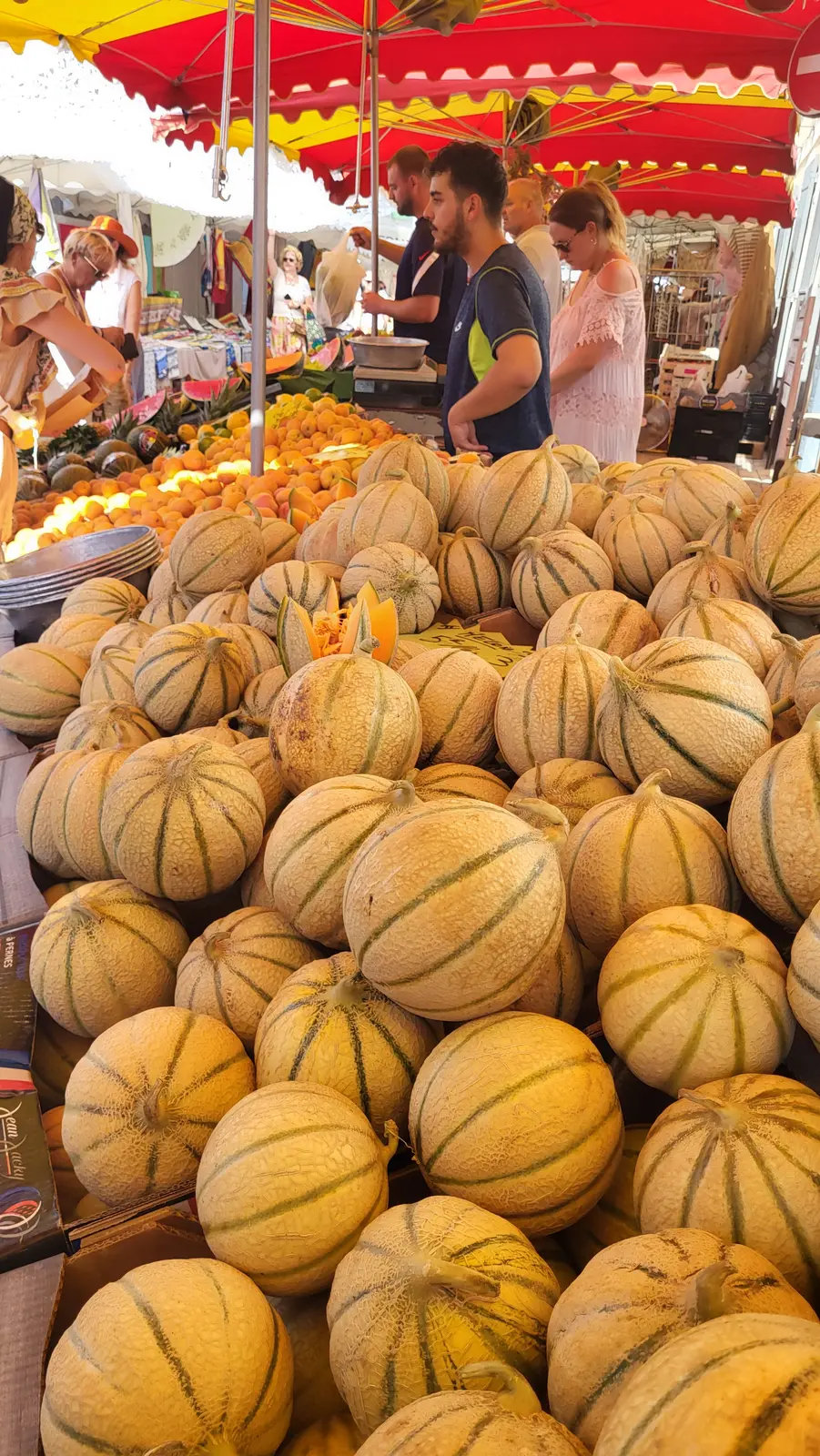 Cavaillon melons on a market stall