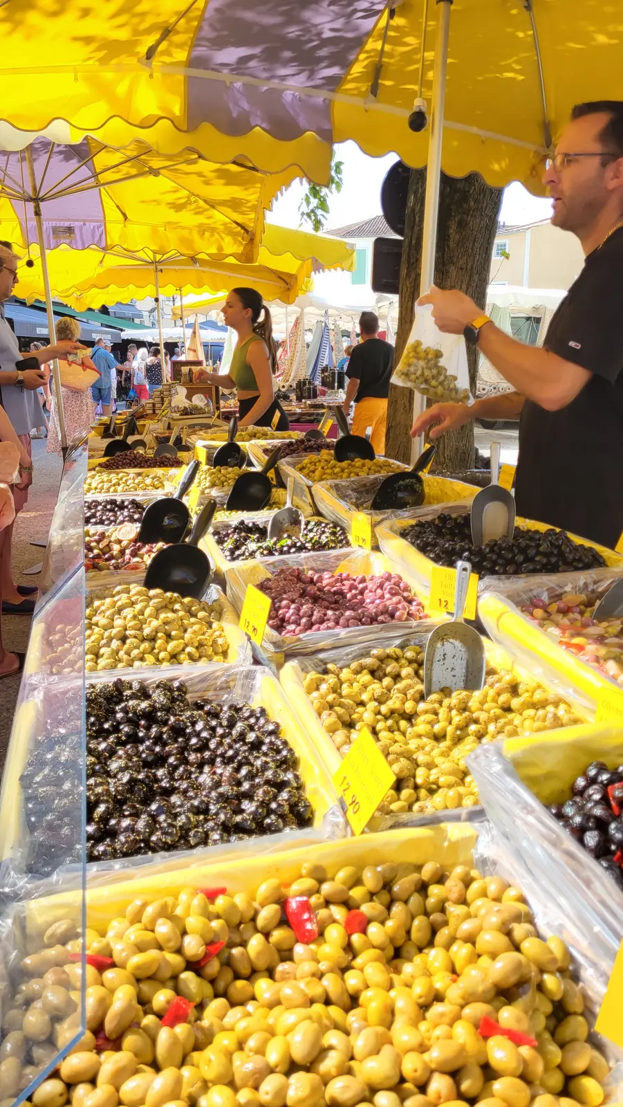 Olives of every kind