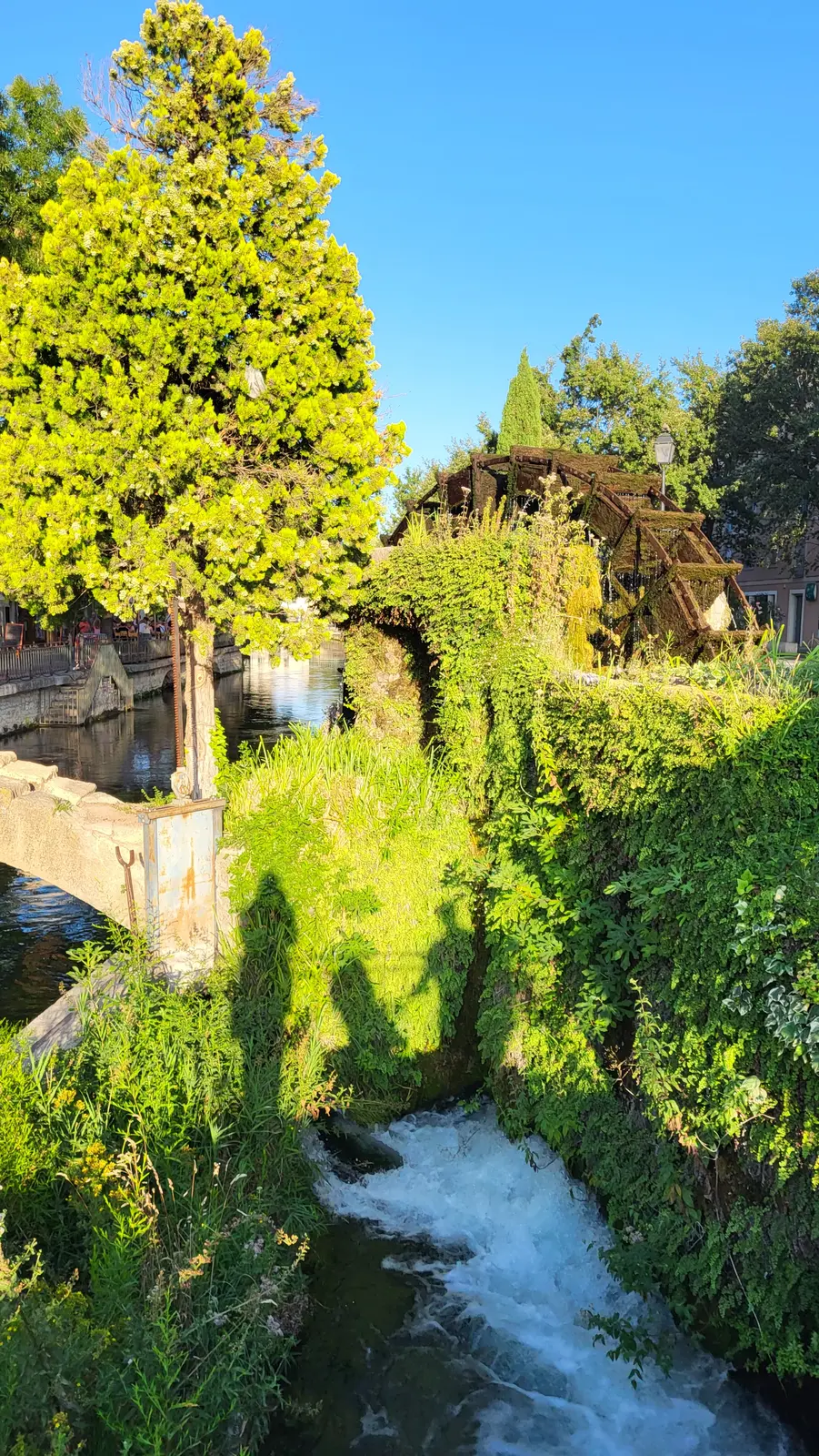 A water wheel on the Sorgue in the evening light