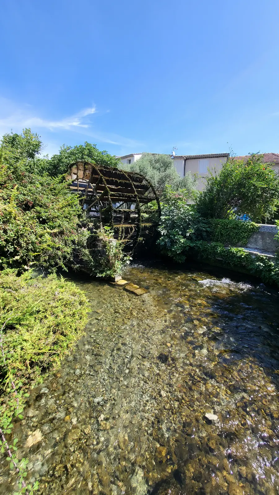 A moss-covered water wheel on the Sorgue
